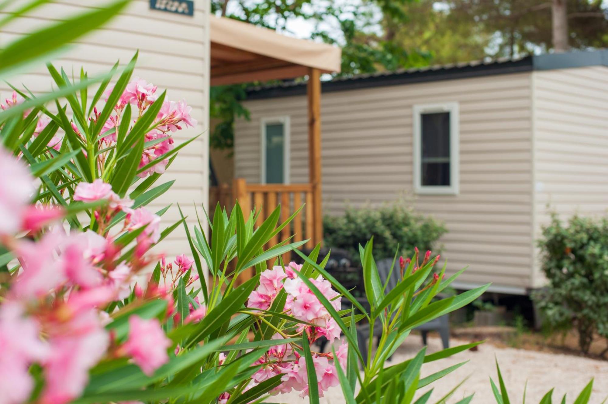 Camping Les Jardins D Agathe Le Grau-dʼAgde Exterior foto